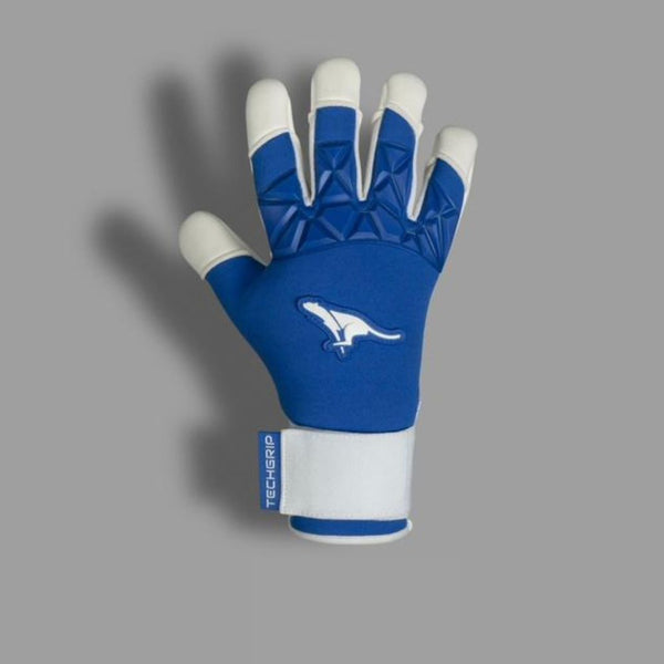 Aqua Iris 1.9 Goalkeeper Gloves